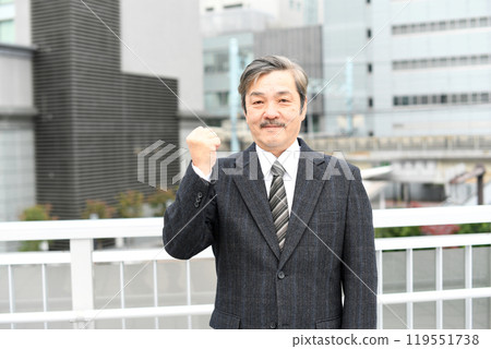 穿著西裝的成熟商人在戶外 穿著西裝的成熟商人在戶外 119551738