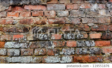 Textured Brick Wall Covered in Moss and Lichen With Aged Charm Visible Outdoors 119551876