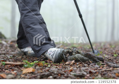 Trekker spraining ankle walking in a forest 119552378