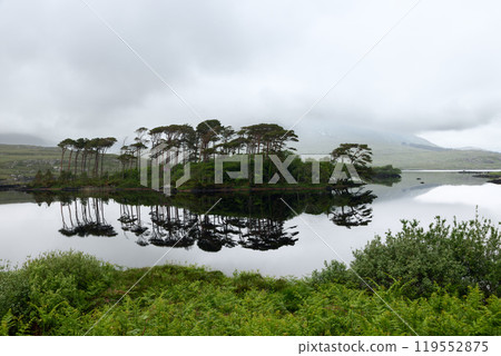 A serene landscape of Pine Island, Connemara, Galway, Ireland 119552875