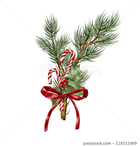 Christmas sugar cane and holly with red bow ribbon on spruce branch Watercolor composition on white. Hand drawn illustration for New Year and winter holidays designs in realistic style. Christmas sugar cane and holly with red bow ribbon on spruce branch Watercolor composition on white. Hand drawn illustration for New Year and winter holidays designs in realistic style. 119552909
