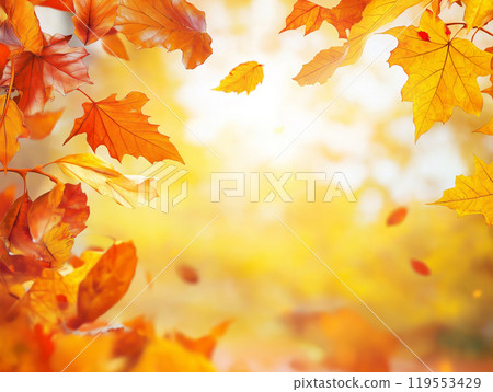 Autumnal backgrounds with vibrant leaves 119553429