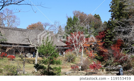 Shunpu Banri-so, an old house surrounded by autumn leaves 119553459