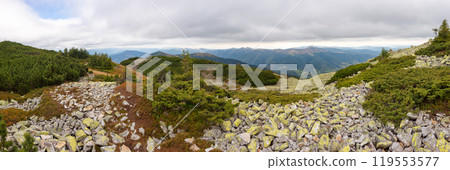 panorama of landscape with stones on alpine hillside. mountainous carpathian landscape of ukraine in autumn on a cloudy day 119553577