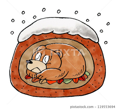 brown bear hibernating brown bear hibernating 119553694
