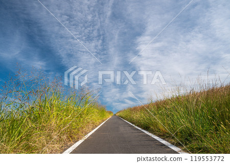 A promenade leading up to the Yodo River embankment 119553772