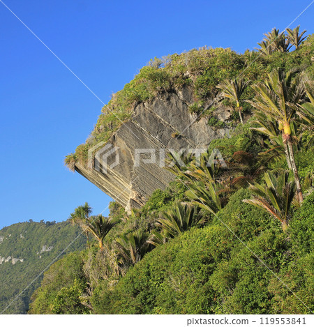 Cliff and palms in Punakaiki, New Zealand. Cliff and palms in Punakaiki, New Zealand. 119553841
