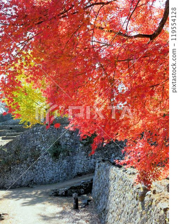 Oka Castle ruins: Red autumn leaves and stone walls (Taketa City, Oita Prefecture) 119554128