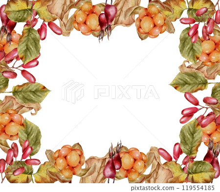 Autumn and summer barberry with cloudberry and rosehip with leaves frame on white. Fall watercolor illustration for Thanksgiving, Harvest Festival, Halloween party decoration, background, packaging. 119554185