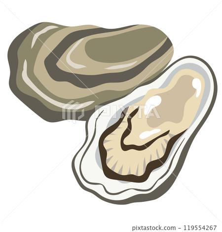 Oysters Seafood Raw Oysters 119554267