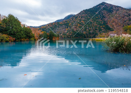 Yu no ko in autumn Yu no ko in autumn 119554818