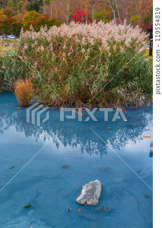 Yu no ko在秋天 119554819