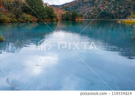 Yu no ko in autumn 119554824