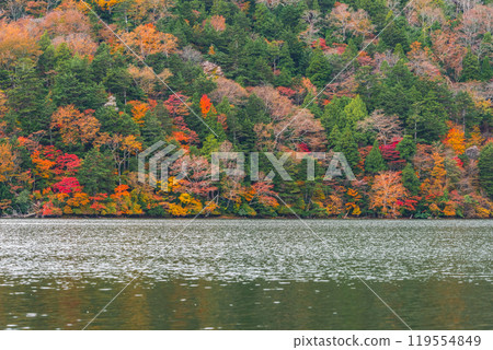 Yu no ko在秋天 119554849