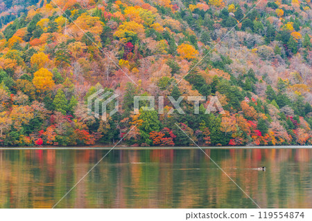 Yu no ko在秋天 Yu no ko在秋天 119554874