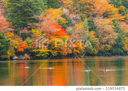 Yu no ko在秋天 Yu no ko在秋天 119554875