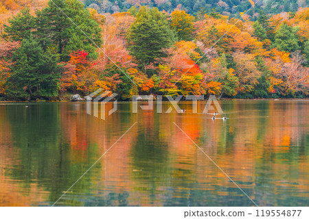 Yu no ko in autumn Yu no ko in autumn 119554877