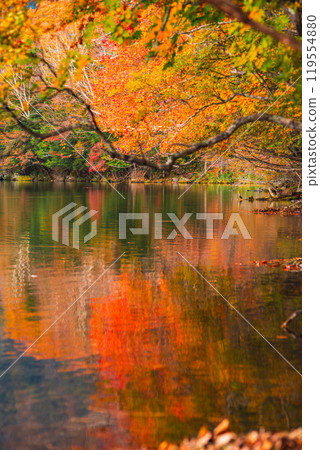 Yu no ko in autumn 119554880