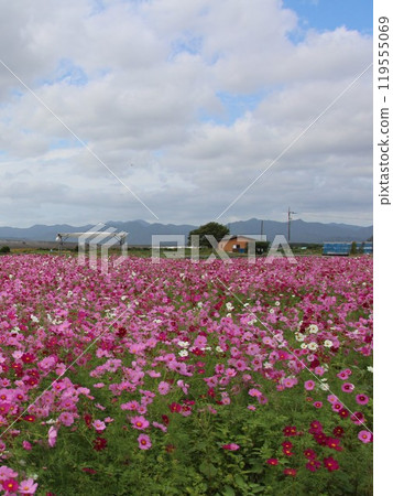 宇宙場之外可見山脈 119555069