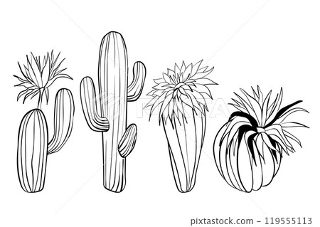 Collection of vector cacti isolated on white background. Set of hand drawn icons of blooming cacti. Illustration of various elements of nature Collection of vector cacti isolated on white background. Set of hand drawn icons of blooming cacti. Illustration of various elements of nature 119555113