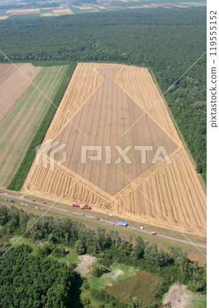 Aerial View: Golden Wheat field Aerial View: Golden Wheat field 119555152