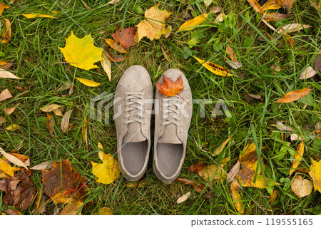 Autumn concept of sports men's gray gym shoes for fall season and colorful fallen leaves around. View from above. 119555165
