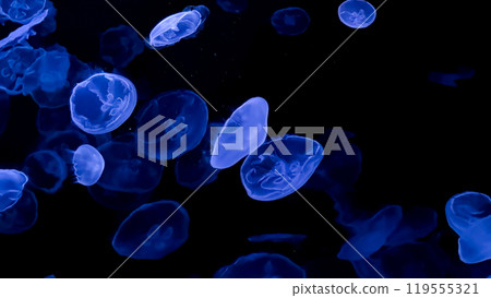 3d rendering of falling gold water falling 119555321