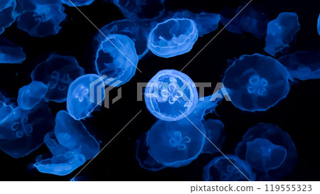 3d rendering of a small intestine 119555323