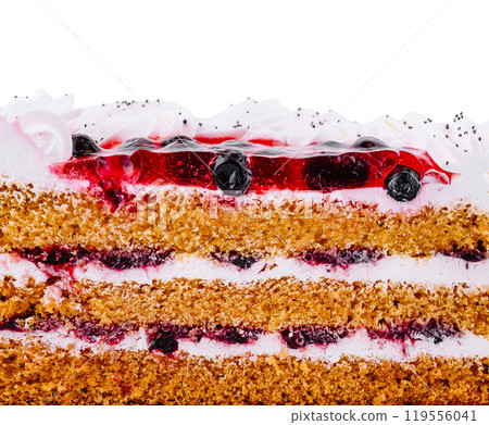 Delicious cake layers showing sponge and icing detail 119556041