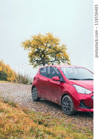 Red car on gravel road in mountains on foggy day. Autumn travel by car. Hatchback car in mud in mountains with clouds. Rural journey in Carpathian mountains. Dirty car on dirty road on fall landscape Red car on gravel road in mountains on foggy day. Autumn travel by car. Hatchback car in mud in mountains with clouds. Rural journey in Carpathian mountains. Dirty car on dirty road on fall landscape 119556483