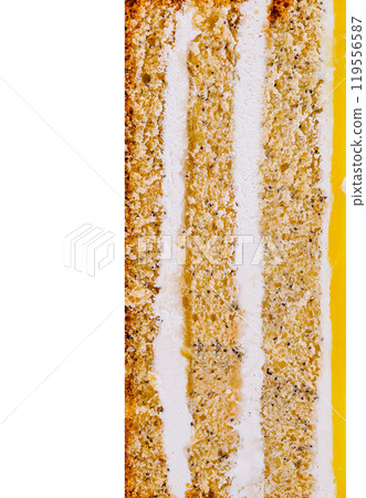 Delicious lemon poppy seed cake showing layers and filling 119556587