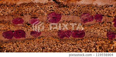 Delicious chocolate cake layers showing filling and cherries 119556904