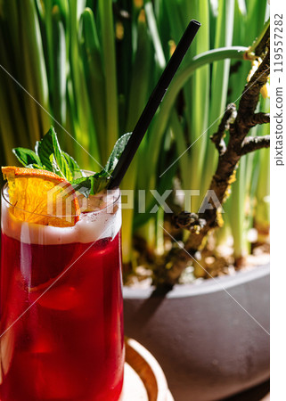 Red cocktail standing on wooden coaster with green plant in background Red cocktail standing on wooden coaster with green plant in background 119557282