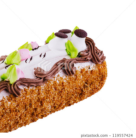 Delicious biscuit cake covered with chocolate and white cream decorated with green leaves 119557424