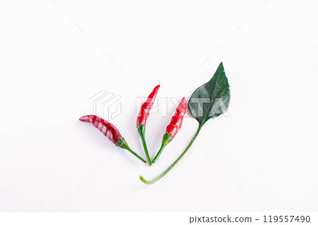 red pepper 119557490