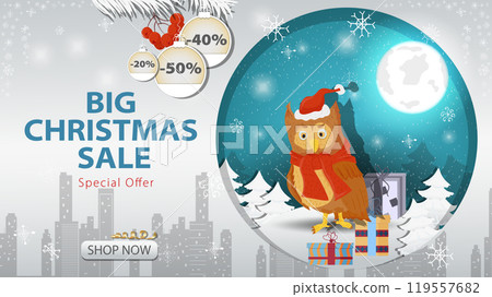 Banner special offer big Christmas sale An owl in a Santa Claus hat next to gifts on the background of the night sky 119557682
