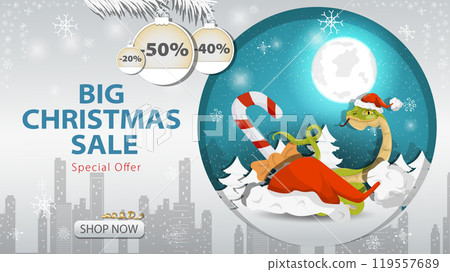 Banner special offer big Christmas sale Snake next to Santas hat on the background of the night sky 119557689