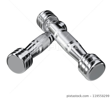 Two blank Round Dumbbells, chrome weightlifting gym equipment top view 119558299
