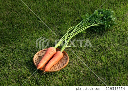 Carrots with leaves on a colander Carrots with leaves on a colander 119558354
