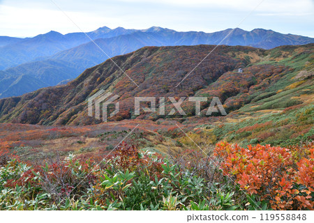 Autumn leaves of Asahi mountain range 119558848