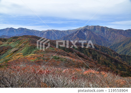 Autumn leaves of Asahi mountain range Autumn leaves of Asahi mountain range 119558904