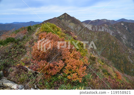 朝日山脈的秋葉 119558921