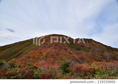Autumn leaves of Asahi mountain range Autumn leaves of Asahi mountain range 119559008