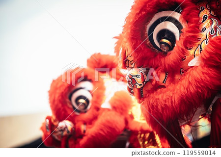 Lion dance 119559014