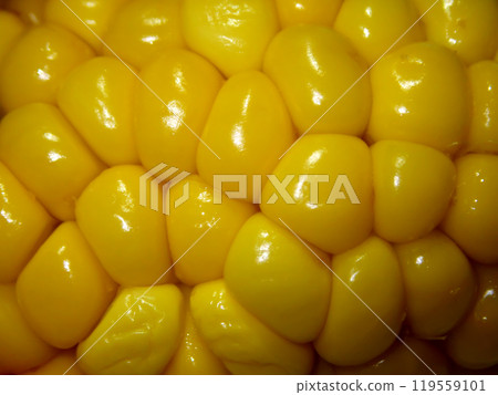 boiled corn boiled corn 119559101
