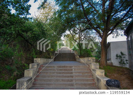 Long Odessa stairs leading to the sea. Multi-tiered staircases in Shevchenko Park. 119559134