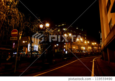 [Gifu] Gero Onsen in autumn - Atano Street at night 119559490