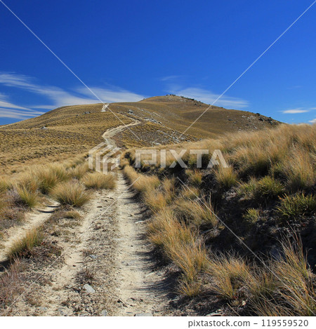 Breast Hill, mountain near Hawea, New Zealand. 119559520