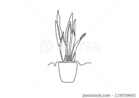 Continuous one line drawing beautiful snake plant in pot for home decoration logo identity. Fresh evergreen perennial plant concept for plant icon. Single line draw design vector graphic illustration Continuous one line drawing beautiful snake plant in pot for home decoration logo identity. Fresh evergreen perennial plant concept for plant icon. Single line draw design vector graphic illustration 119559605