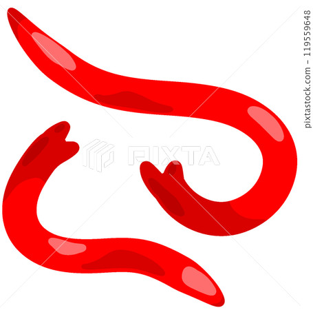 紅蟲 紅蟲 119559648